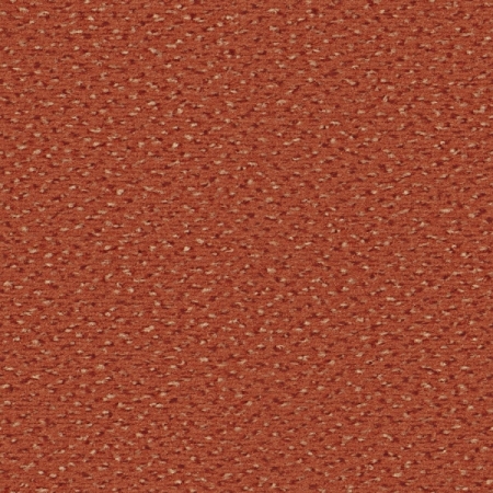 Alexis - 1P11